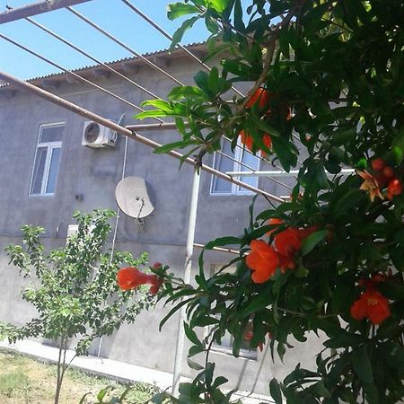 Guest house near Baku airport Extérieur photo